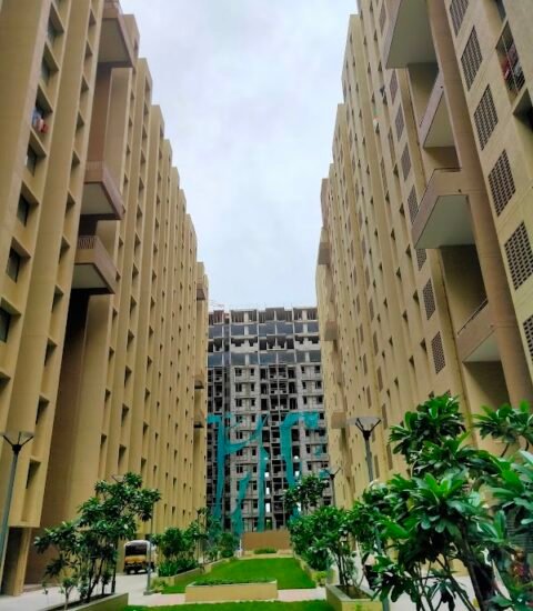 Saujanya 2&3 Apartments - Gallery Photo 3