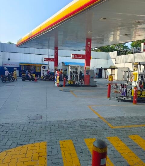 Shell - Gallery Photo 2