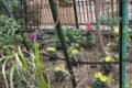 konark apartment - Gallery Photo 5