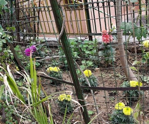 konark apartment - Gallery Photo 5