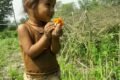 Berger Paints India Limited - Feature Photo