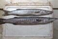 Boatman Fishbar - Feature Photo
