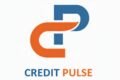 Credit Pulse - Feature Photo