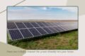 Efforts Solar & EV - Feature Photo