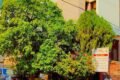 OYO Collection O 74575 Hotel Rahi - Feature Photo