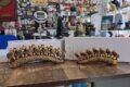 Pasva Gift Marketing - Feature Photo