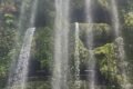 Safari Tourism - Feature Photo