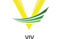 Viv Overseas Consultant - Feature Photo