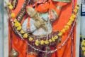 salatwada vadodara - Feature Photo