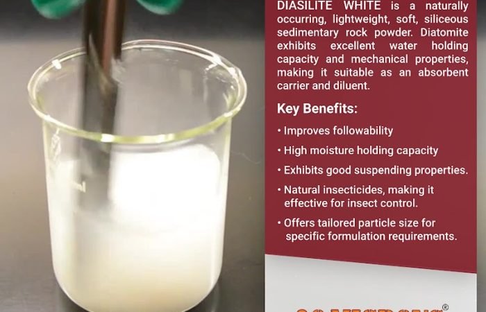 20 Microns Limited - Feature Photo