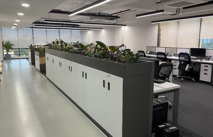 Accufur Innovations Pvt Ltd - Feature Photo
