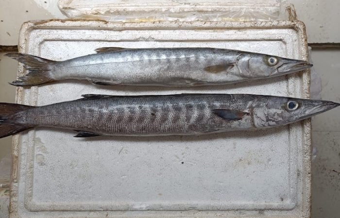 Boatman Fishbar - Feature Photo