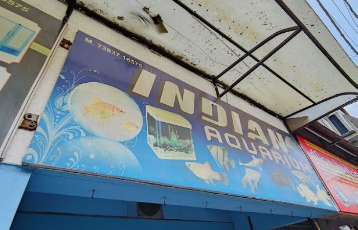 Indian Aquarium - Feature Photo