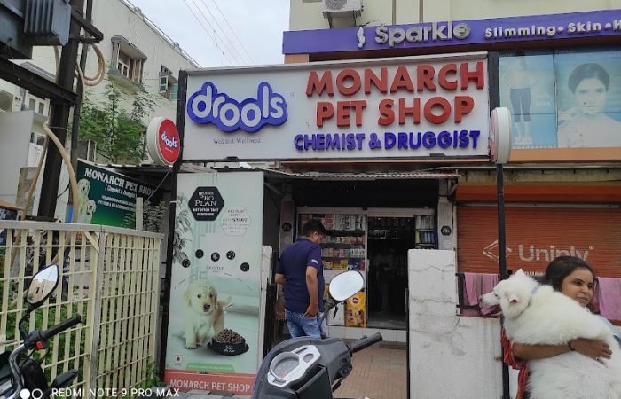 Monarch Pet Shop - Feature Photo