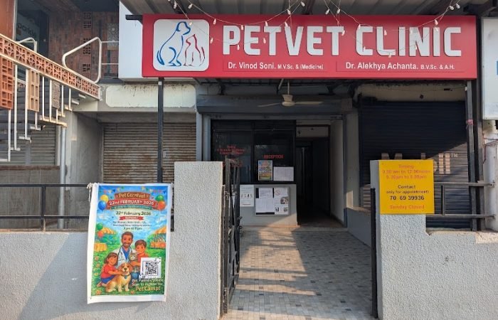Pet Vet Clinic, Vadodara - Feature Photo