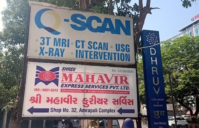 SHREE MAHAVIR COURIER SERVICES KARELIBAG - Feature Photo