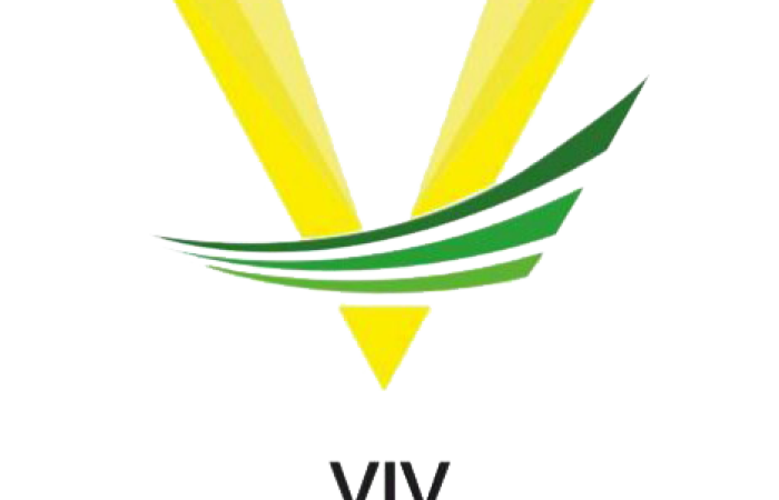 Viv Overseas Consultant - Feature Photo