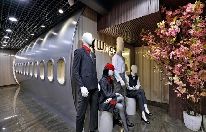 Wings Institute Air Hostess & Hotel Management - Feature Photo